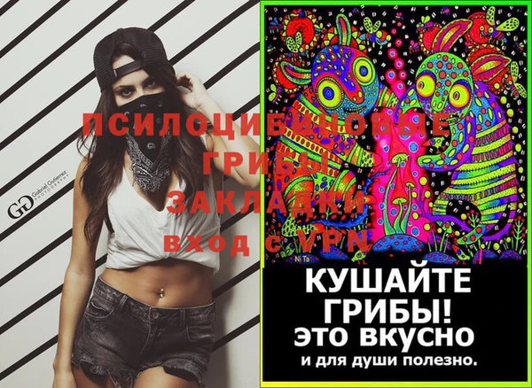 метадон Касимов
