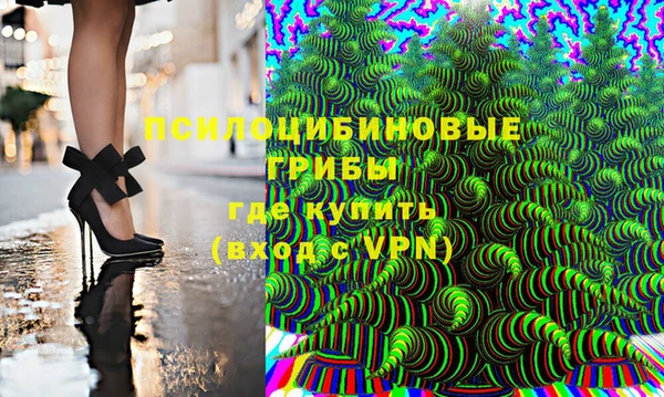 хмурый Карталы