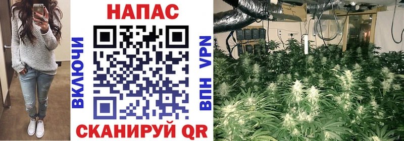Шишки марихуана индика  Купить где  Долинск 